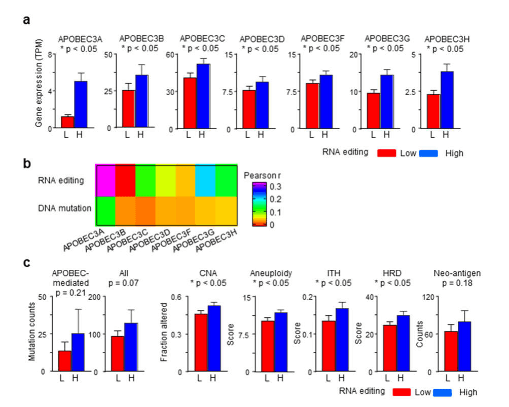 如何做肿瘤免疫微环境的研究?这篇文章会告诉你!